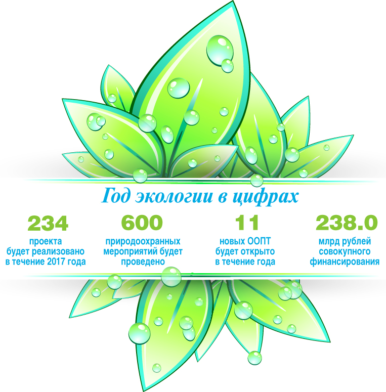 Год экологии в России: мысли глобально, действуй локально