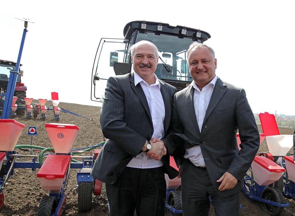 Александр Лукашенко в Молдове вместе с Игорем Додоном засеял поле кукурузы  