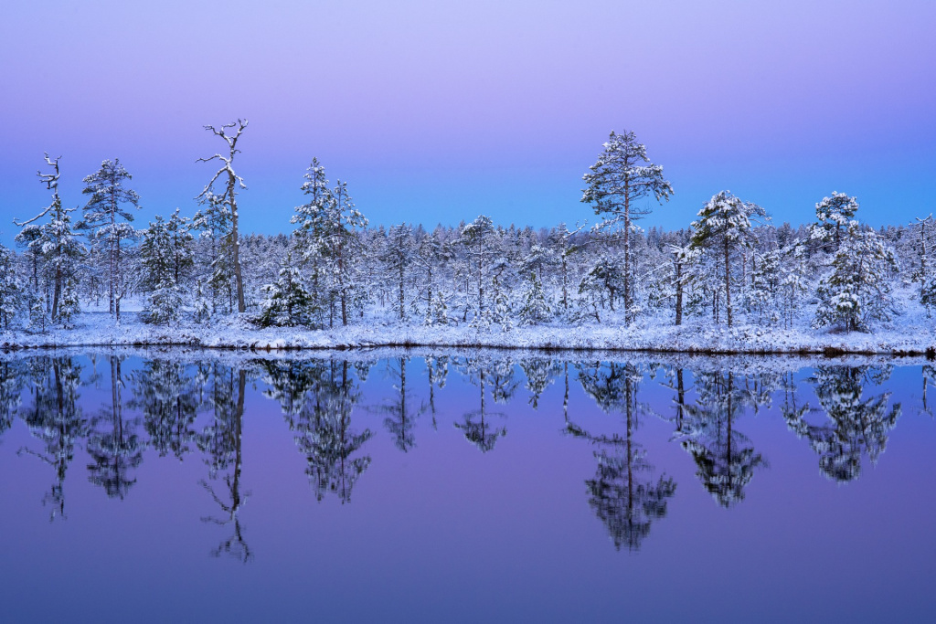 От Командорских островов и вулканов Камчатки до последней заповедной тайги Европы От Командорских островов и вулканов Камчатки до последней заповедной тайги Европы