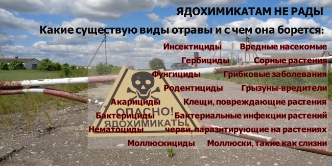 Новая программа поможет очистить наши страны, а может – и всю планету, от накопившейся отравы Новая программа поможет очистить наши страны, а может – и всю планету, от накопившейся отравы