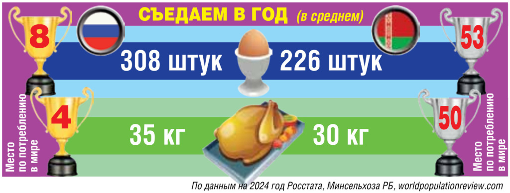 Чтобы в России не возникал дефицит яиц, белорусы поставляют нам этот диетический продукт